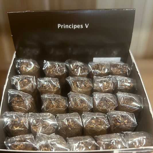 Cigar- Principes Vanilla (Blonde)