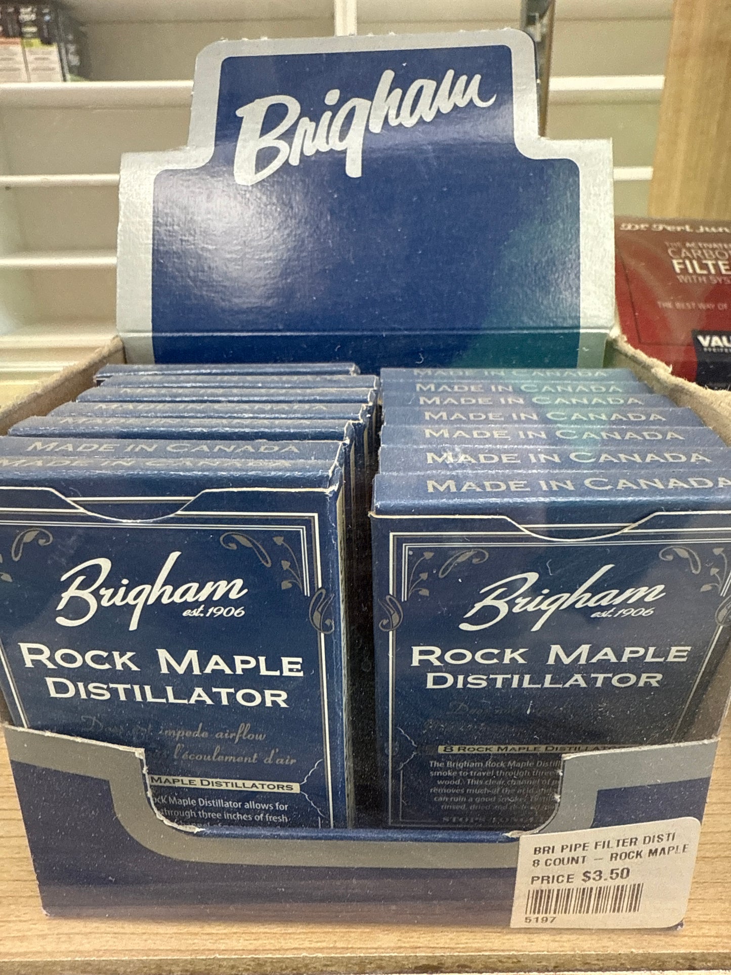 Brigham Pipe Filter