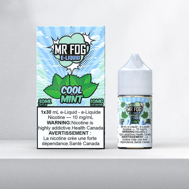 Mr.Fog Salt E-Juice 30ml (20mg) - Cool Mint (FED)
