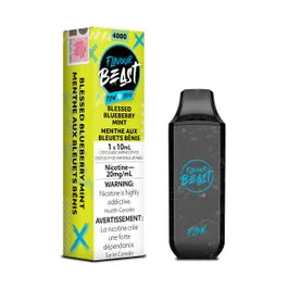 Flavour Beast Flow 4000 - Blessed Blueberry Mint Iced (Vape tax included)