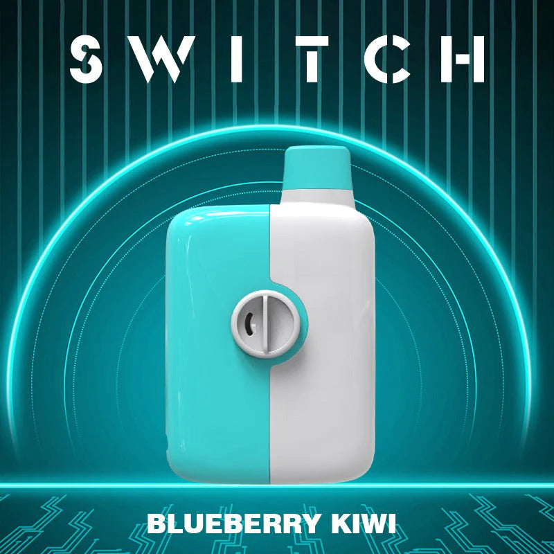 Mr. Fog Switch - Blueberry Kiwi